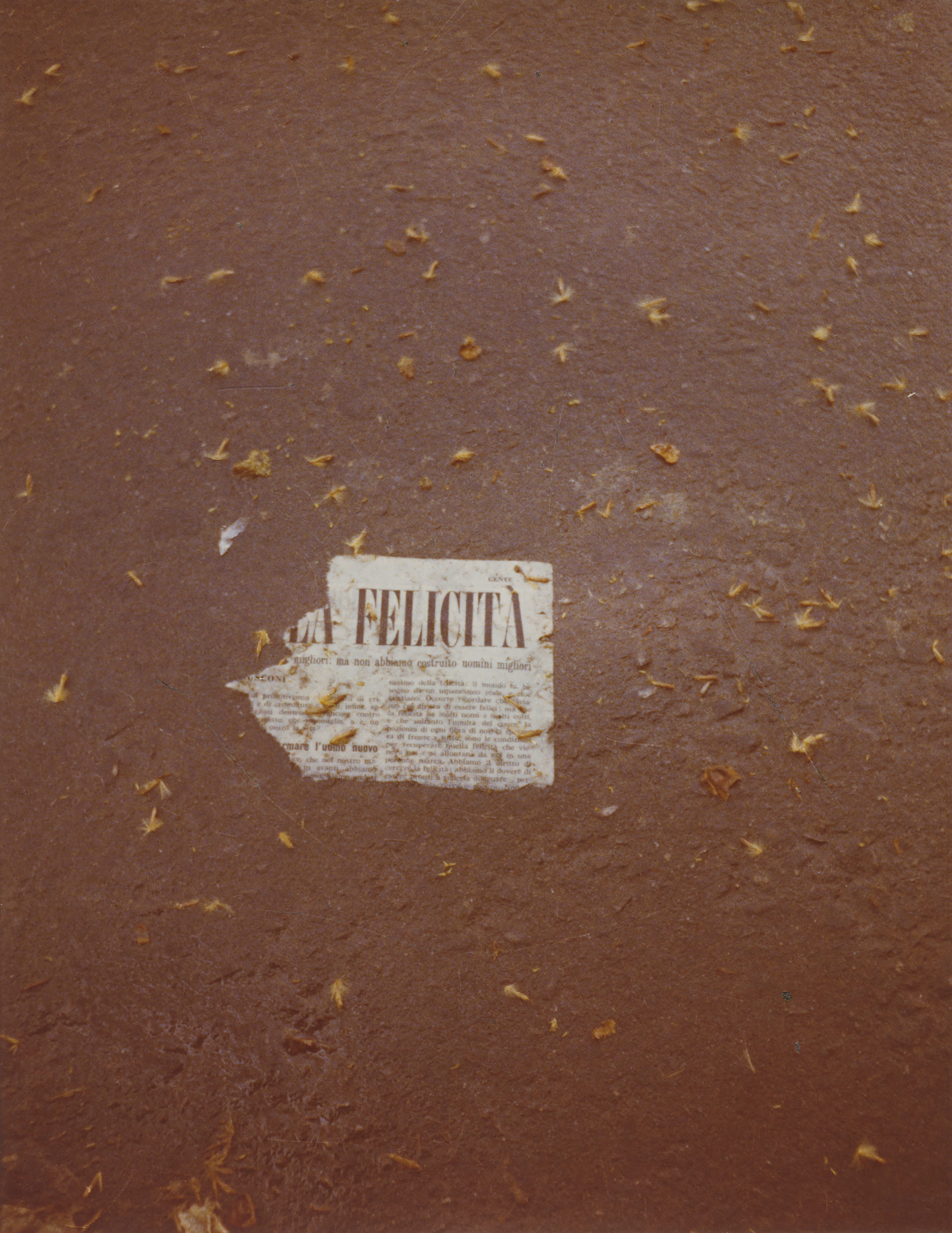 Felicità